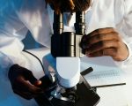 Malaria- Understanding the Mosquitoes Fever
