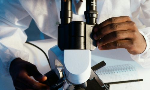 Malaria- Understanding the Mosquitoes Fever