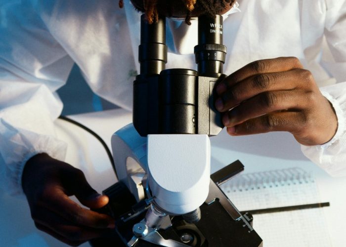 Malaria- Understanding the Mosquitoes Fever
